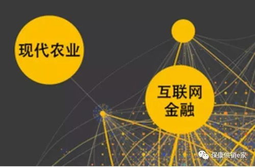 互聯(lián)網(wǎng)+農(nóng)產(chǎn)品業(yè)態(tài) 保康供銷(xiāo)社以“五有”模式助力鄉(xiāng)村振興