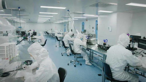 北芯生命遞交招股書 擬募資12.74億元，加速新材料技術研發與產業化進程